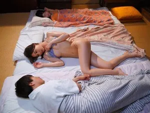 Cặp đôi mèo con bướm hồng tóc dài cho thấy cảnh quan hệ bằng miệng, tư thế chó và rất vui vẻ